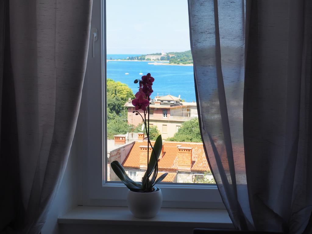 Captain Emo Apartament *
